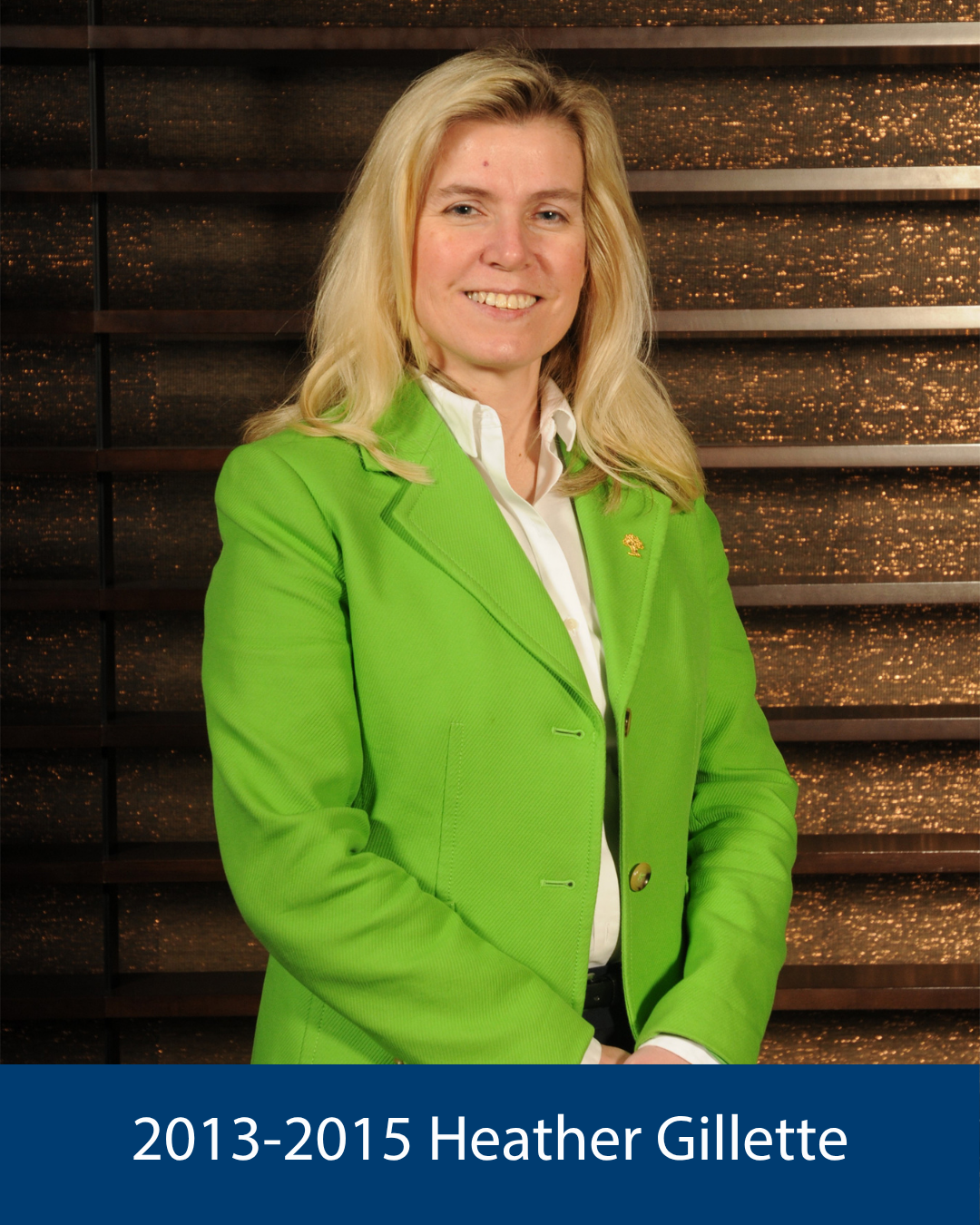 2013-2015 Heather Gillette